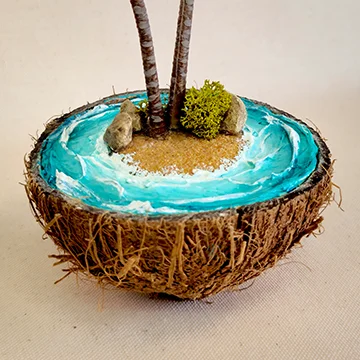 Coco Palm